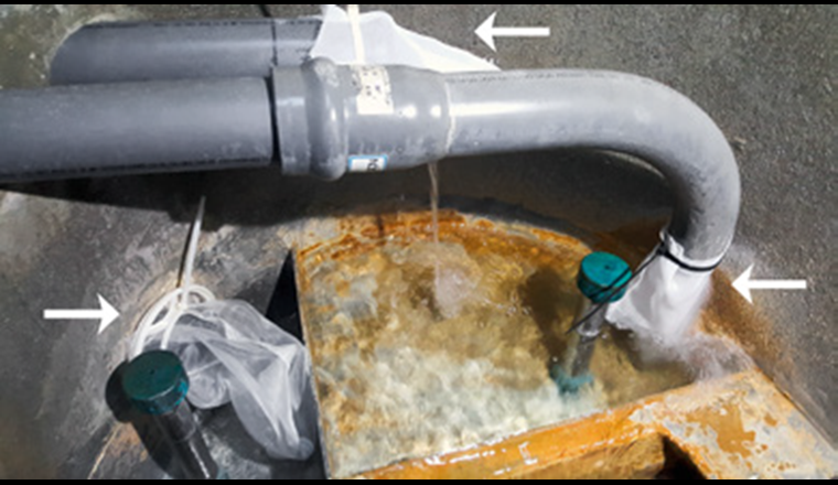 Montierte Filternetze an Einlaufrohren einer Brunnenstube zur Beprobung.