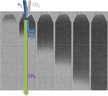 Neutronenradiografiebilder eines Reaktorprototyps (Reaktorlänge 40 cm) mit zunehmender Sättigung des Zeolithmaterials mit Wasser (dunkle Verfärbung) von links nach rechts. (© Empa)