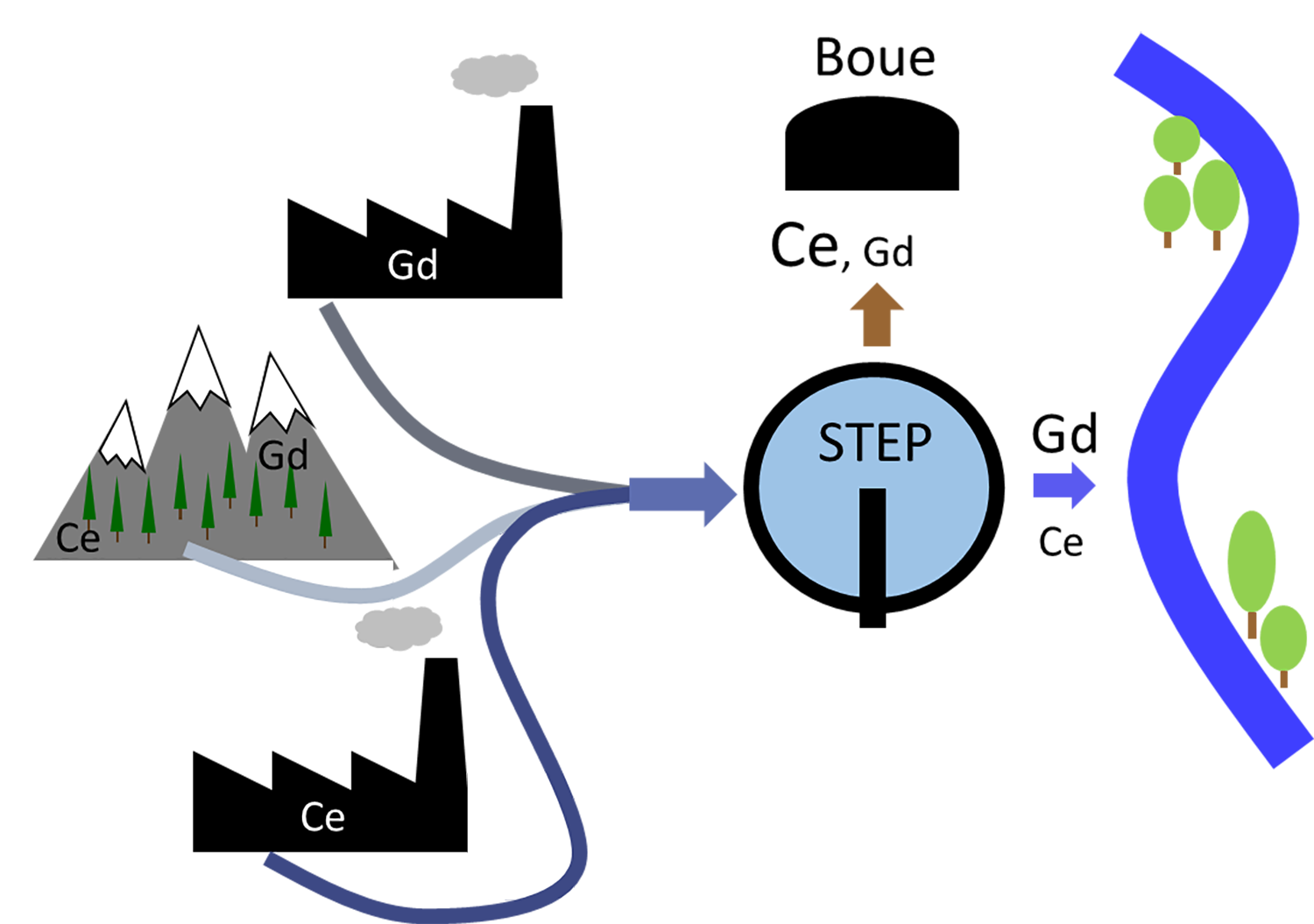 Les terres rares telles que le cérium (Ce) et le gadolinium (Gd) sont présentes dans la nature, mais sont de plus en plus utilisées par l’industrie et les hôpitaux. Via les eaux usées, les terres rares finissent dans les stations d’épuration des eaux usées (STEP). Une majeure partie du cérium y est collectée dans la boue. Le gadolinium n’est en revanche pas retenu dans la STEP, il se déverse dans les cours d’eau avec les eaux usées nettoyées. (Graphique: Ralf Kägi, Eawag)