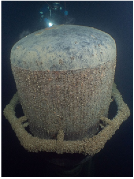 Die Ausbreitung der Quaggamuschel in Schweizer Seen stellt Wasserversorger und Seewasserentnahmen zur Wärme-/Kälteversorgung vor grosse Herausforderungen. Da die Muschel auch in grossen Tiefen vorkommt, müssen die technischen Anlagen, wie Entnahmeleitung mit Saugkorb, gegenüber starkem Muschelbefall geschützt werden. (Foto: Photography Montagner/St. Galler Stadtwerke)