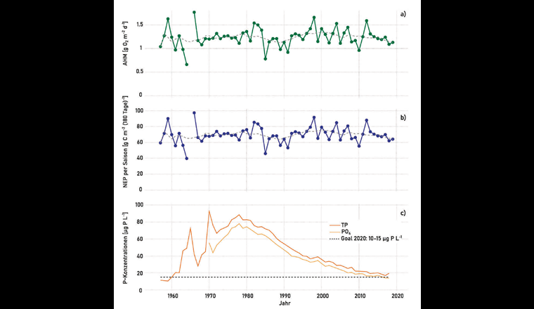 Fig. 4 a) Zeitreihen der AHM (ausgedrückt als Sauerstoffverbrauch pro Tag während der produktiven Saison) seit 1957. Grau: der gleitende Mittelwert über jeweils zehn Jahre. Durch die Grösse des Genfersees haben vertikale Oszillationen der Wasserschichten eine starke Auswirkung auf die saisonale O2-Bilanz, was zu methodischen Fehlern und deshalb zu grossen jährlichen Unterschieden in der berechneten AHM führt.
b) NEP (in g C m–2 [180 Tage]–1) abgeschätzt aus AHM plus NS für jede produktive Saison. Grau: der gleitende Mittelwert über jeweils zehn Jahre.
c) Mittlere P-Konzentrationen (TP und PO4) im ganzen See und Zielwert 2020 [15, 17].