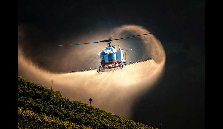 Die Anwendung von Pestiziden – hier in einem Weinberg bei Sion – hat auch 2020 im Parlament grosse Diskussionen ausgelöst. (© R. Chapuis)
