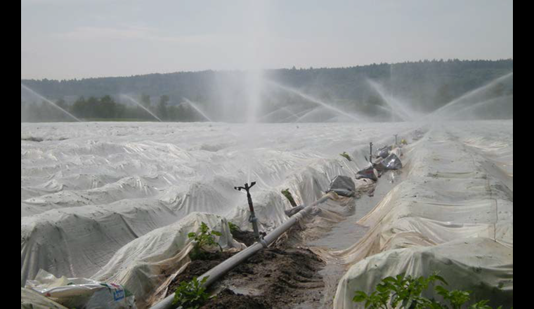 Die Fläche der bewässerten Kulturen hat in der Schweiz stark zugenommen. Höhere Temperaturen und trockenere Böden erhöhen den Wasserbedarf, zugleich geht im Sommer das nutzbare Angebot an Oberflächen- und Grundwasser zurück. Ein Grundlagenbericht des Bundesrats zu «Wasserversorgungssicherheit und Wassermanagement» ist pendent. (© A. Bryner)
