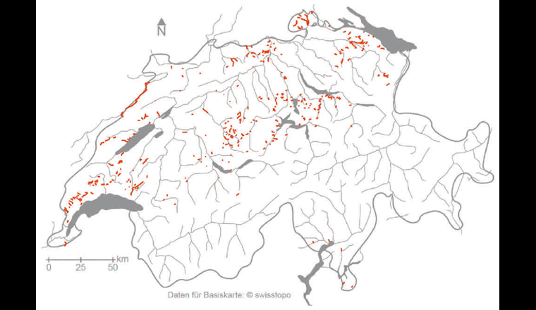 Im Jahr 2018 von der Trockenheit betroffene Gewässerabschnitte.