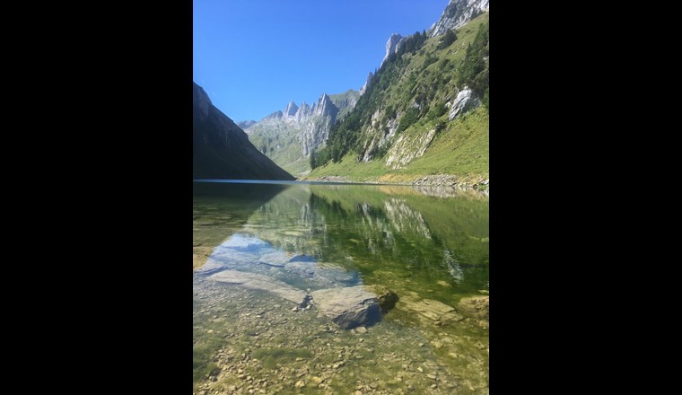 Im Sommer sind die Flachwasserbereiche im See überzogen mit Algenteppichen, die als Folge des hohen Nährstoffgehaltes stark im See wachsen. (Bild: Kanton Appenzell Innerrhoden)