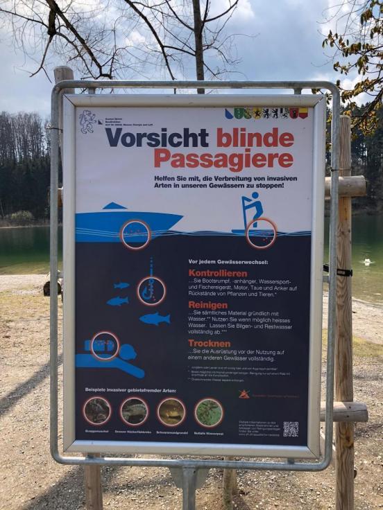 Die Plakate stehen an diversen Einwasserungsstellen wie hier am Türlersee. (Bild: Hausen a. Albis, Patrick Wyss)