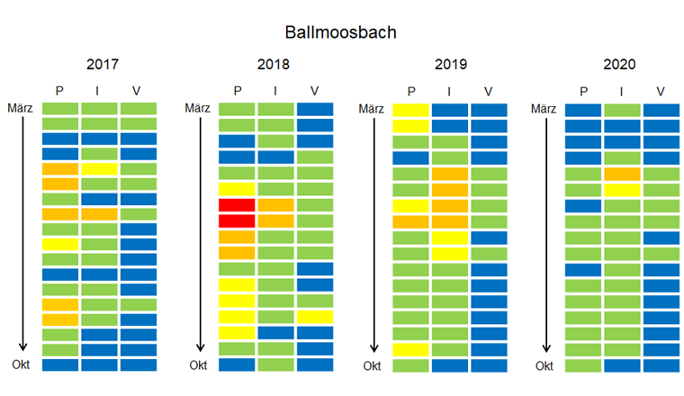 Fig. 4a Chronische Belastungssituation (CRQmix) im Ballmoosbach für 2017 bis 2020. Eine Kachel entsprich einer 2-Wochen-Sammelprobe, in den Spalten sind die Organismengruppen Pflanzen (P), Wirbellose (I) und Fische (V) abgebildet. Die Farbe der Kacheln repräsentiert gemäss erweitertem Ampelsystem (Fig. 3) das Risiko für die Gewässerorganismen; bei blau und grün werden die Qualitätskriterien eingehalten.