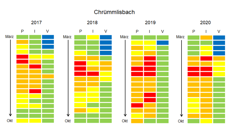 Fig. 4b Chronische Belastungssituation (CRQmix) im Chrümmlisbach für 2017 bis 2020. Eine Kachel entsprich einer 2-Wochen-Sammelprobe, in den Spalten sind die Organismengruppen Pflanzen (P), Wirbellose (I) und Fische (V) abgebildet. Die Farbe der Kacheln repräsentiert gemäss erweitertem Ampelsystem (Fig. 3) das Risiko für die Gewässerorganismen; bei blau und grün werden die Qualitätskriterien eingehalten.