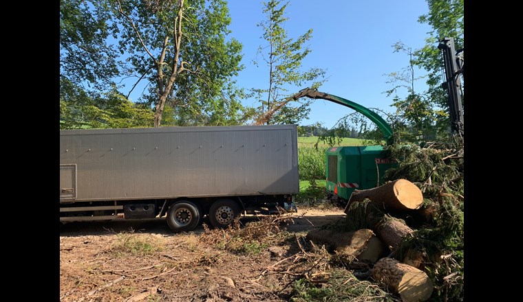 Fig. 4 Les plaquettes de bois arrivent du broyeur sur la semi-remorque. (Photo: WSL)