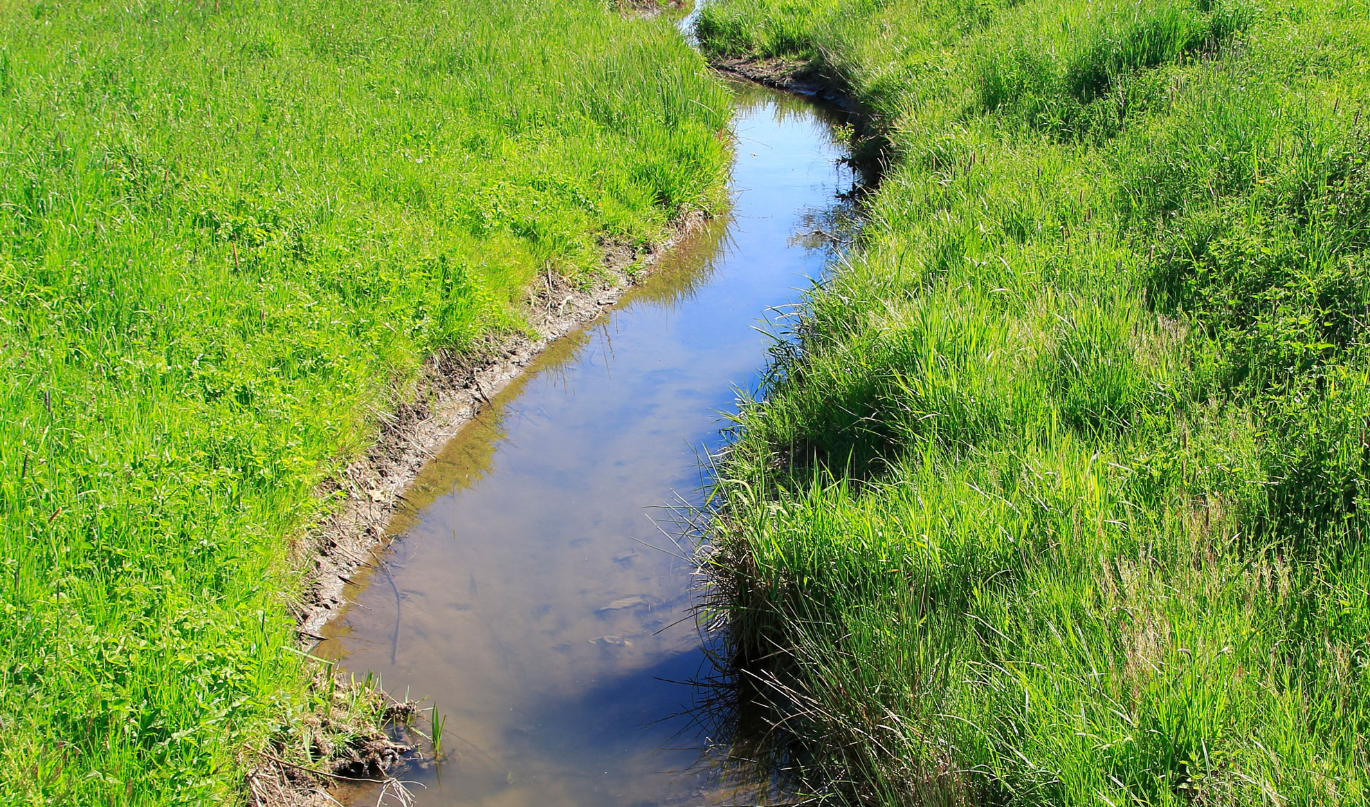 Was lebt da noch im kleinen Gewässer? 
Bild: 123rf.com