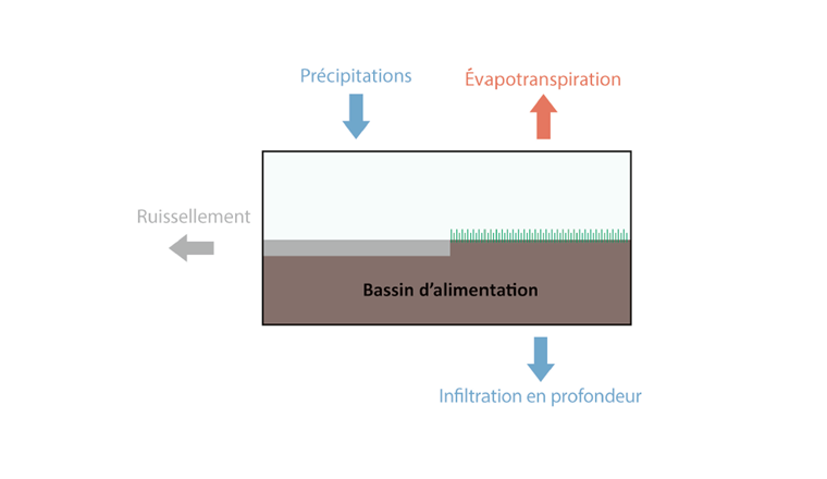 Fig. 3 Schéma du bilan hydrique volumétrique annuel (illustration de l’équation 2).