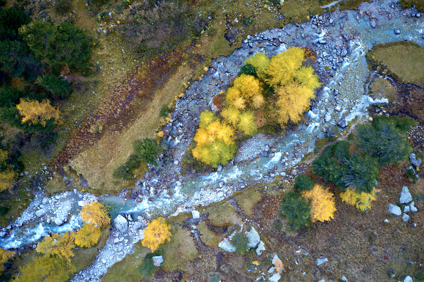 Als erste Gemeinde der Schweiz erhält Bever im Oberengadin das Label «Gewässerperle PLUS» zugesprochen. (Bild: WWF Graubünden/Fabian Fopp)