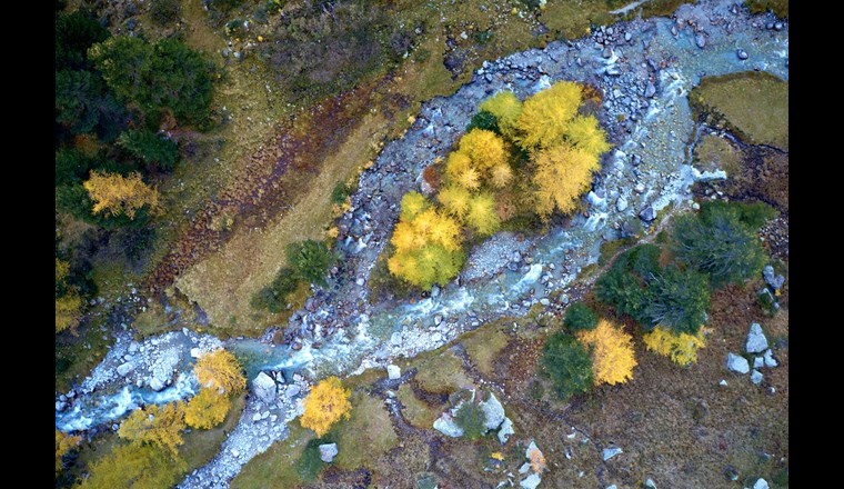 Als erste Gemeinde der Schweiz erhält Bever im Oberengadin das Label «Gewässerperle PLUS» zugesprochen. (Bild: WWF Graubünden/Fabian Fopp)