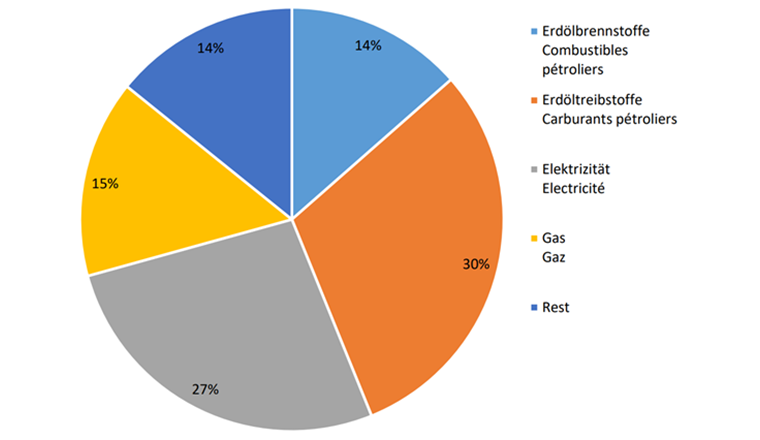 Überblick über den Endenergieverbrauch in der Schweiz im Jahr 2020 (Total: 747'400 TJ) Quelle: Bundesamt für Energie (BFE)