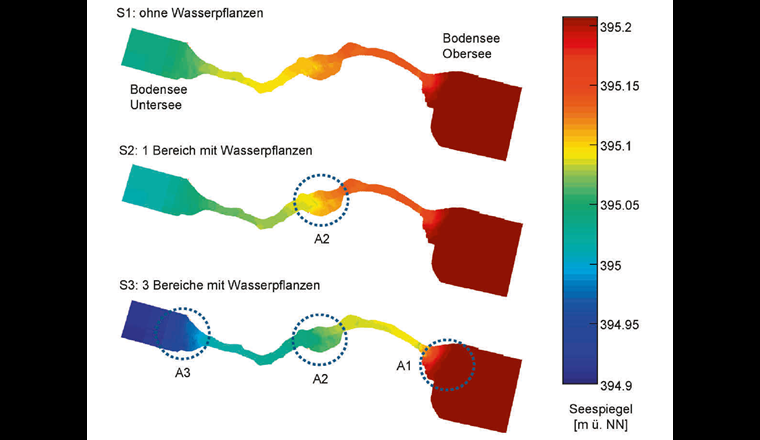 Darstellung der berechneten Wasserstände zwischen dem Obersee (rechts) und dem Untersee (links) für die drei Modellszenarien S1 bis S3. Die Kreise geben grob die Lage der Wasserpflanzenbereiche A1 bis A3 an.