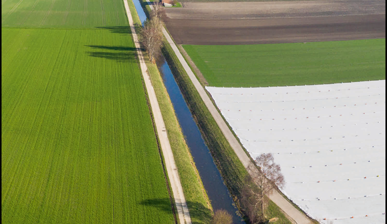 Effekte von PSM-Mischungen, in Kombination mit anderen Umweltstressoren, auf junge Forellen. (© M. Zeh)