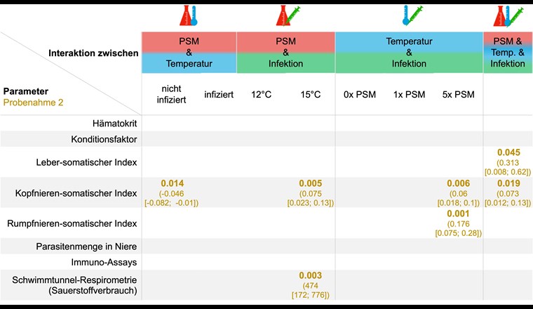 Fig. 5 Übersicht über die signifikanten Wechselwirkungen (p-Wert ≤ 0,05) zwischen den Stressoren. Angegeben sind der p-Wert in fetter Schrift sowie in Klammer die Mittelwertdifferenz und das Konfidenzintervall. Sind keine Angaben gemacht, so gab es keine signifikanten Wechselwirkungen, einschliesslich Probenahme 1.