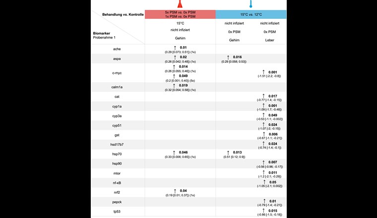 Fig. 6 Übersicht über die signifikanten Effekte (p-Wert ≤ 0,05) bei Probenahme 1. Bei den belasteten Tieren waren die Biomarker-Level höher als bei den Kontroll-Fischen (Pfeil). Angegeben sind der p-Wert in fetter Schrift sowie in Klammer die Mittelwertdifferenz und das Konfidenzintervall. Sind keine Angaben gemacht, so gab es keine signifikanten Effekte.