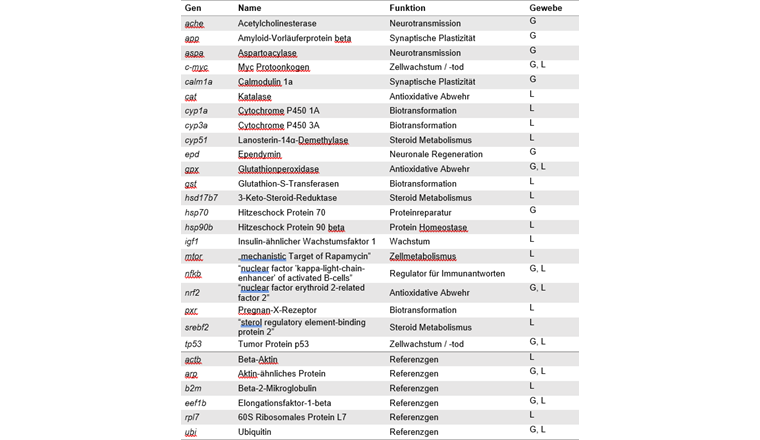 Tab. 2 In Leber (L) bzw. Gehirn (G) gemessene Biomarkergene und ihre Funktion in der Zelle.