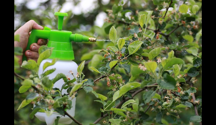Die ChemRRV betrifft den Schutz der Wasserressourcen direkt. Der SVGW fordert in seiner Stellungnahme zum Verordnungsentwurf eine stärkere Einschränkung der nicht beruflichen Anwendung von Pflanzenschutzmitteln.
(© alexkich/123RF.com)