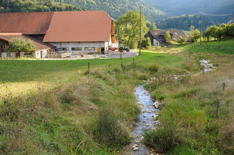 La Motte im Jura (Bild: F. Bertschinger/Ex-Press/BAFU)