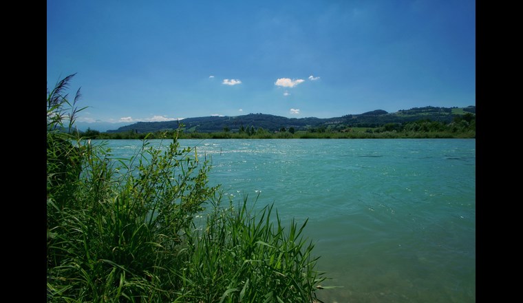 La température des cours d’eau est l’une des variables les plus importantes pour les écosystèmes aquatiques et pour les activités humaines dépendantes des rivières. Dans le contexte actuel de changement climatique, ces températures évoluent. L'article présente les résultats de travaux portant sur l’évolution de la température des rivières en Suisse durant les 50 dernières années ainsi que sur des projections pour le XXIème siècle. (Photo de l'Aar: © Waleed Kurdi/123RF.com)