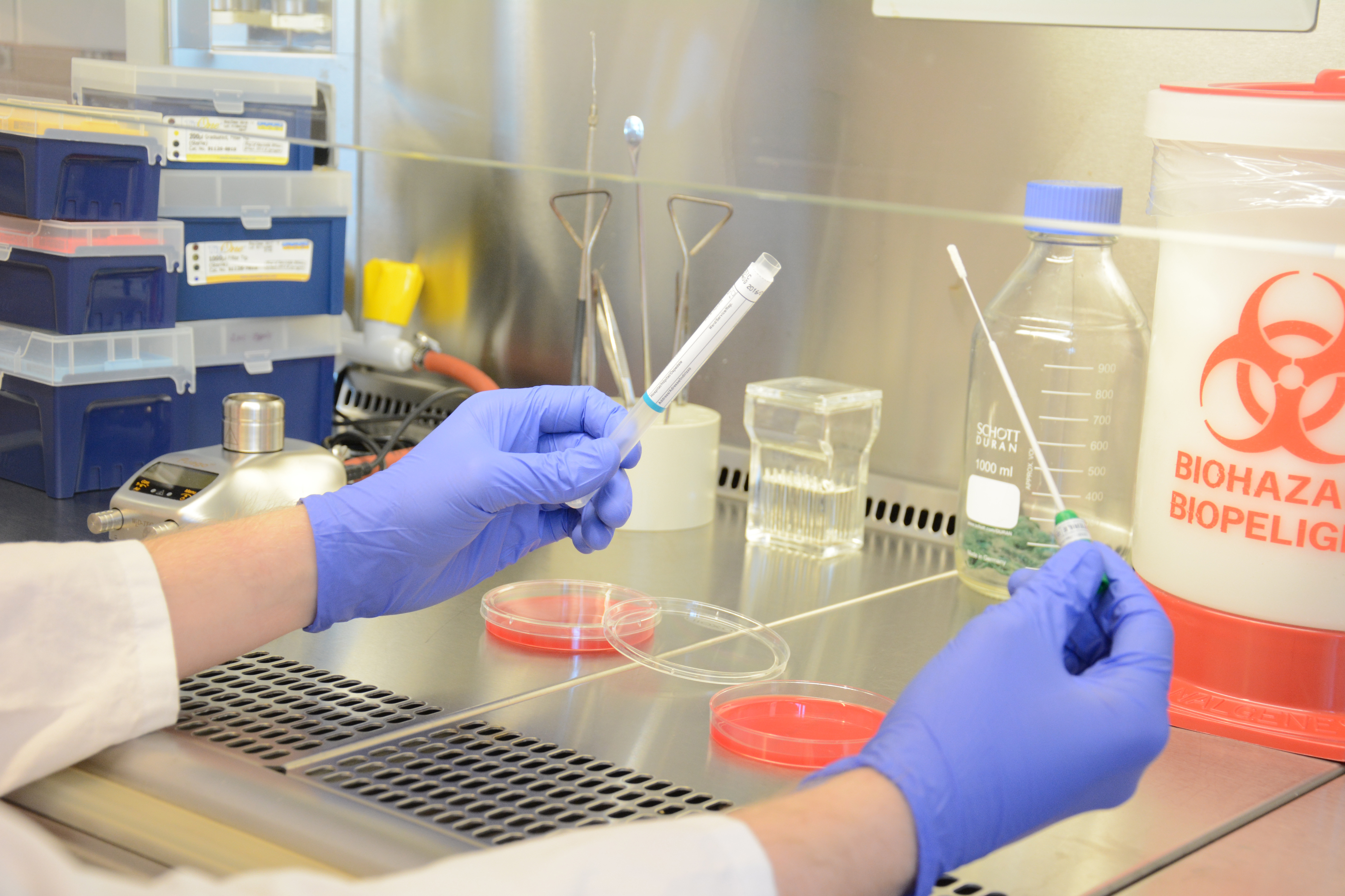 Das Institut BIAMOL der Hochschule Bremerhaven arbeitet im Projekt «Legiomer» an Schnelltests für Legionellen. (Bild: Hochschule Bremerhaven)