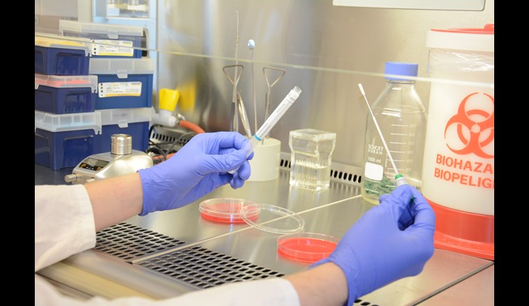 Das Institut BIAMOL der Hochschule Bremerhaven arbeitet im Projekt «Legiomer» an Schnelltests für Legionellen. (Bild: Hochschule Bremerhaven)