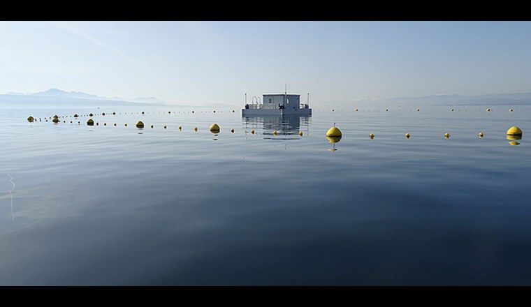 LéXPLORE am Genfersee (Foto: Natacha Pasche, EPFL)