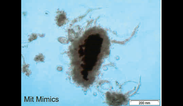 Fig. 1 Belebtschlamm mit dem Trägermaterial Mimics®. (© EssDe GmbH)