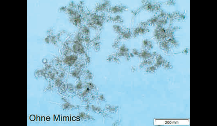 Fig. 1 Belebtschlamm ohne Trägermaterial Mimics® . (© EssDe GmbH)