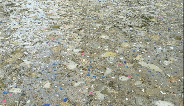 Aktueller Stand des Wissens über die Gefahren und Risiken von Mikroplastik in der Umwelt.  (Bild: ©crevis/123RF.com)