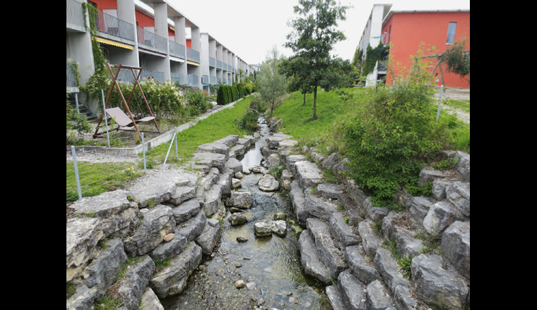 Naturnah ausgestaltete Bäche statt eingedolte Bäche im Siedlungsgebiet erfüllen zahlreiche Funktionen. (©S. Hasler/VSA)