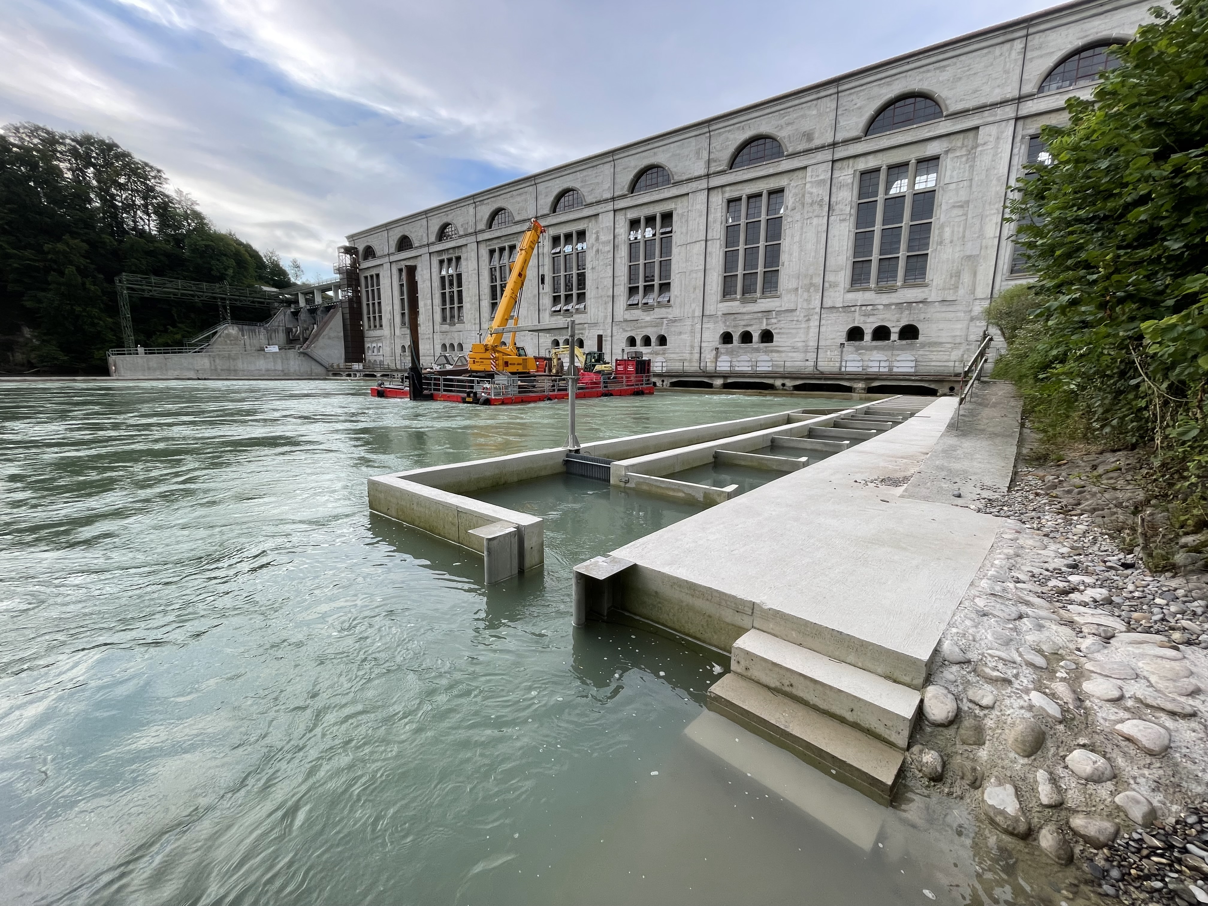 Mit der Inbetriebnahme des Fischlifts Wasserkraftwerk Mühleberg ist die erste von 40 Massnahmen für Fischgängigkeit bei BKW Wasserkraftwerken abgeschlossen. (©BKW)