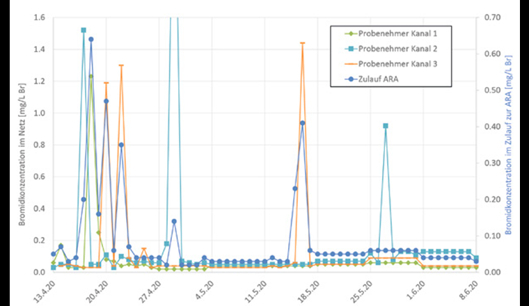 Fig. 4 Vergleich der Bromidkonzentrationen im ARA-Zulauf und in den Hauptsträngen des Kanalnetzes für den Zeitraum von 13. April bis 8. Juni 2021.