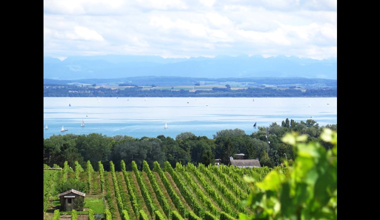 Blick auf den Neuenburgersee. Um das Verschmutzungspotenzial der Munitionsrückstände vom Schießplatz der Luftwaffe in Forel weiter zu klären, wurden Wasser- und Sedimentproben aus dem See entnommen. (Foto: happyalex/123RF.com)