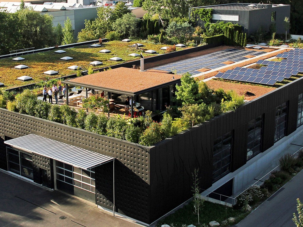 zvg von https://www.sfg-gruen.ch/de/Bildergalerie