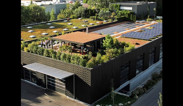 zvg von https://www.sfg-gruen.ch/de/Bildergalerie