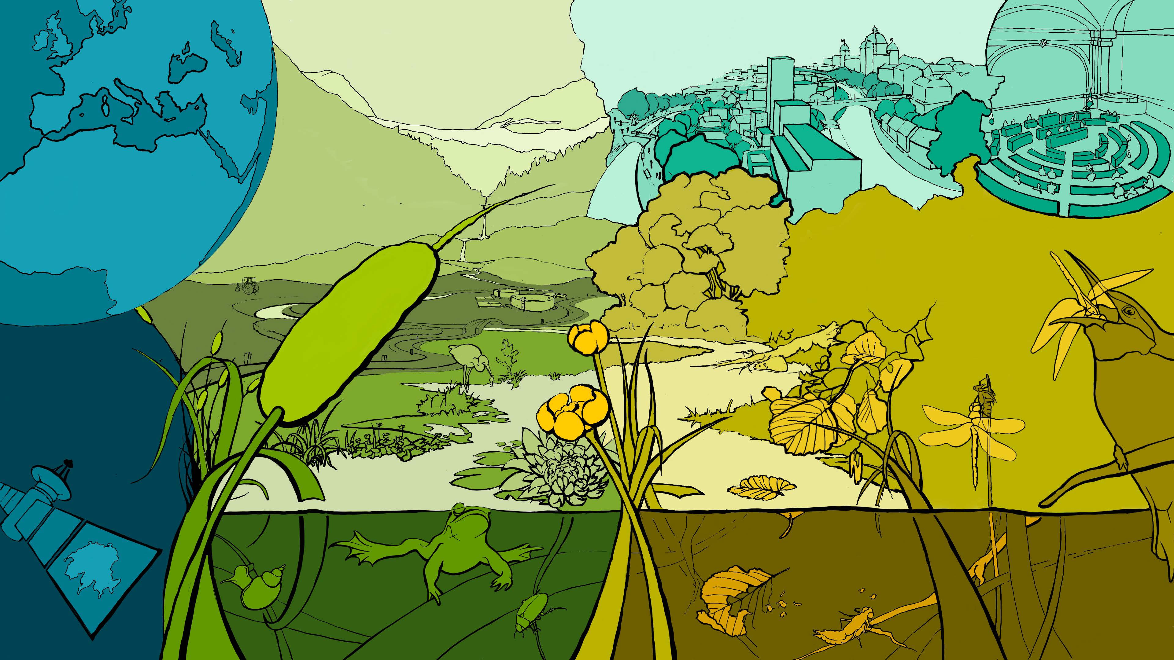 Aquatische und terrestrische Ökosysteme sind eng miteinander verknüpft – sowohl durch die Bewegungen von Organismen wie auch durch den Austausch von Nährstoffen oder Schadstoffen. (© S. Scherrer, Eawag)