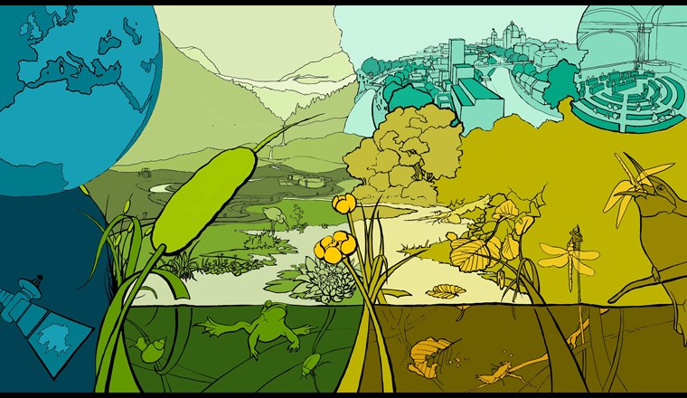 Aquatische und terrestrische Ökosysteme sind eng miteinander verknüpft – sowohl durch die Bewegungen von Organismen wie auch durch den Austausch von Nährstoffen oder Schadstoffen. (© S. Scherrer, Eawag)