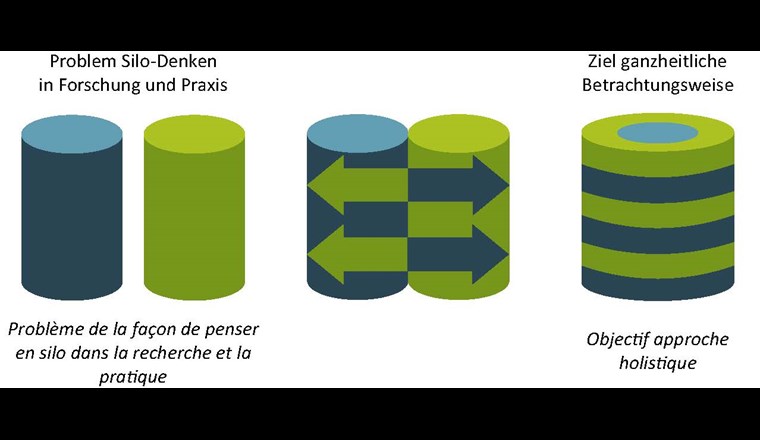 Das Silo-Denken betrachtet aquatische Ökosysteme (blaues Silo) und terrestrische 
Ökosysteme (grünes Silo) getrennt. Es durchzieht Forschung, Verwaltung und Praxis in der Schweiz und anderen Ländern und ist ein Hindernis für effektiven Biodiversitätsschutz. Die gemeinsame Forschungsinitiative Blau-Grüne Biodiversität (BGB) von Eawag und WSL setzt sich dafür ein, diese sektoriellen Barrieren abzubauen und eine ganzheitliche Betrachtungsweise zu fördern.