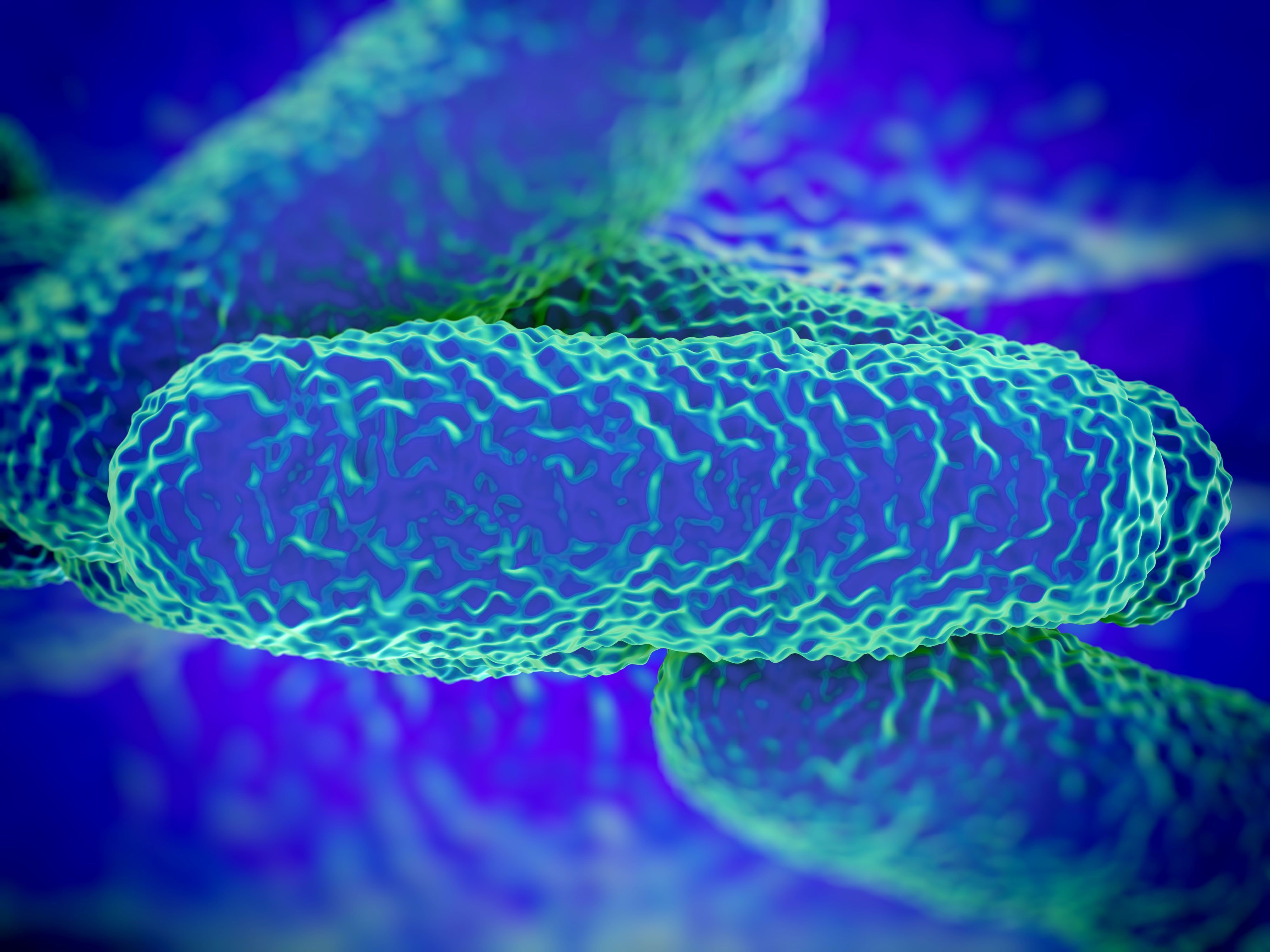 Charakterisierung von Legionellen mit molekularbiologischen Methoden. (©royaltystockphoto/123RF.com)