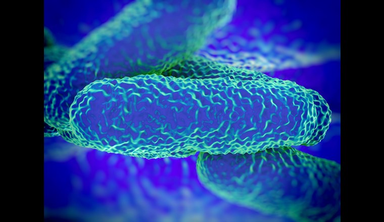 Charakterisierung von Legionellen mit molekularbiologischen Methoden. (©royaltystockphoto/123RF.com)