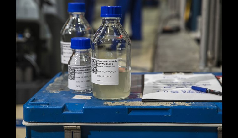 Abwasseranalysen geben Aufschluss über die Reproduktionszahl des Coronavirus. (© E. Michel, Eawag)