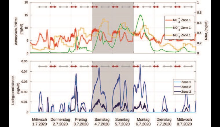 Fig. 5 Oberer Graph: Konzentrationen von Ammonium (NH4‒), Nitrat (NO3‒) und Nitrit (NO2‒) in der ersten Zone. Unterer Graph: Lachgasemissionen (N2O-Emissionen) in den drei Zonen. Bei den dunkelroten Pfeilen wurde Faulwasser dosiert. Dementsprechend sieht man eine erhöhte Ammoniumkonzentration in Zone 1. Die grauen Pfeile markieren Phasen mit erhöhter Konzentration an leichtabbaubarem Sub­strat. Während dieser Phasen beobachtet man eine erhöhte Denitrifikation und eine verminderte Lachgasemission. Am Wochenende (grau) ist das leichtabbaubare Substrat im Abwasser vermindert und es wird eine erhöhte Lachgasemission beobachtet (vergleiche Text).