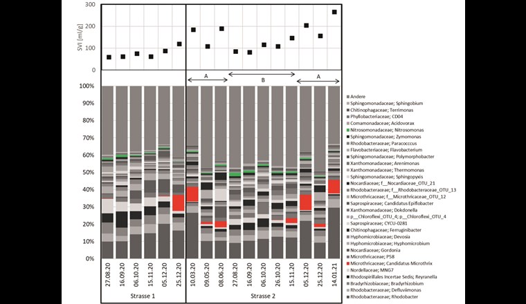 Fig. 2 Mikrobielle Zusammensetzung des Belebtschlamms auf der ARA Richterswil.
