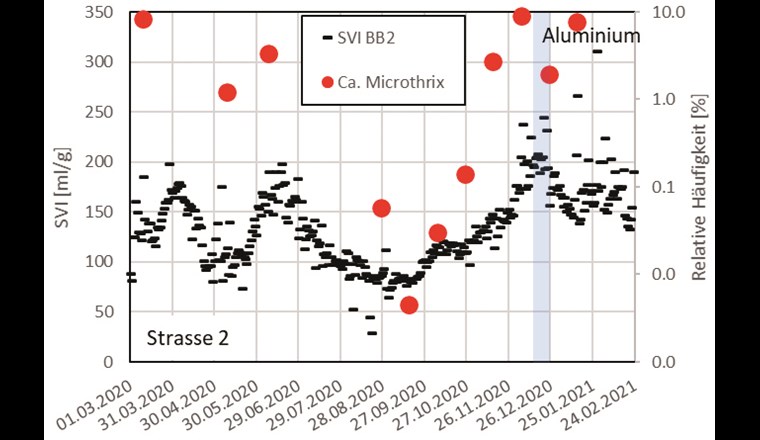 Fig. 4b SVI und relative Häufigkeit von Ca. Microthrix in Strasse 2
