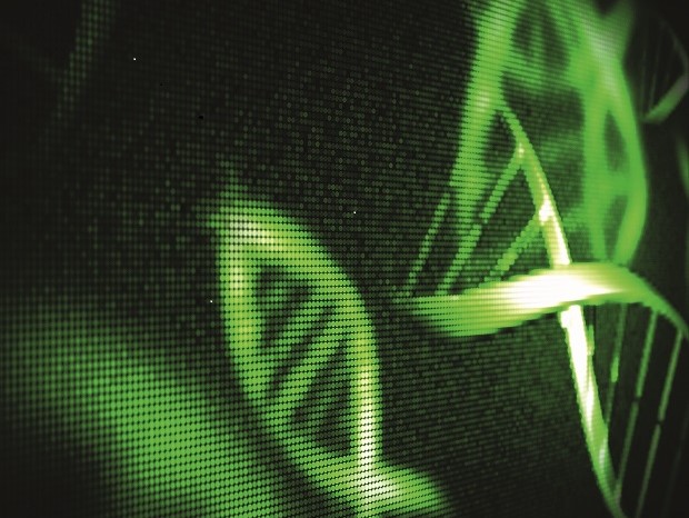 Erkenntnisse und Ausblick anhand einer durchgeführten Analyse der Bakterienpopulation auf der ARA Richterswil.