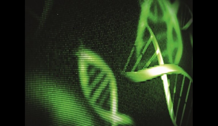 Erkenntnisse und Ausblick anhand einer durchgeführten Analyse der Bakterienpopulation auf der ARA Richterswil.